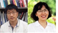 기사이미지